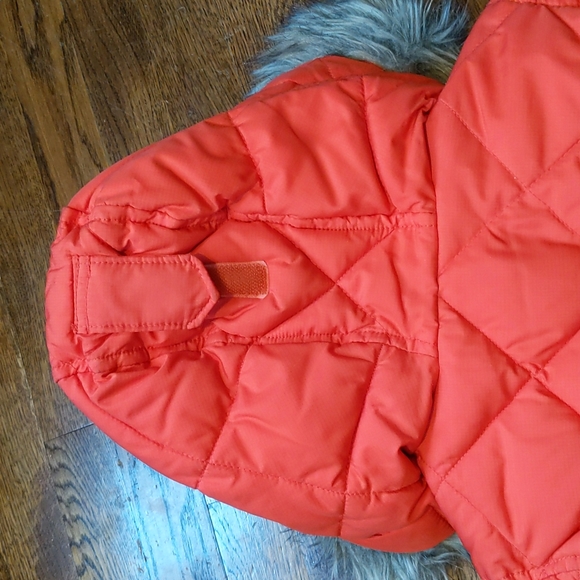 Gap 4T 🧥 Jacket - Picture 6 of 6